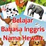 Nama Hewan Huruf F Dalam Bahasa Indonesia